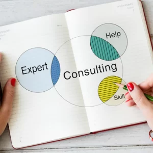 recruitment-consulting-venn-diagram_53876-132704